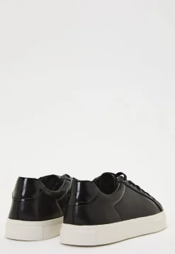 Cody Sneakers