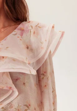 Flounce Sheer Blouse