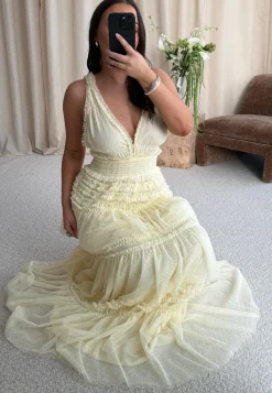 Frill Dotted Tulle Gown